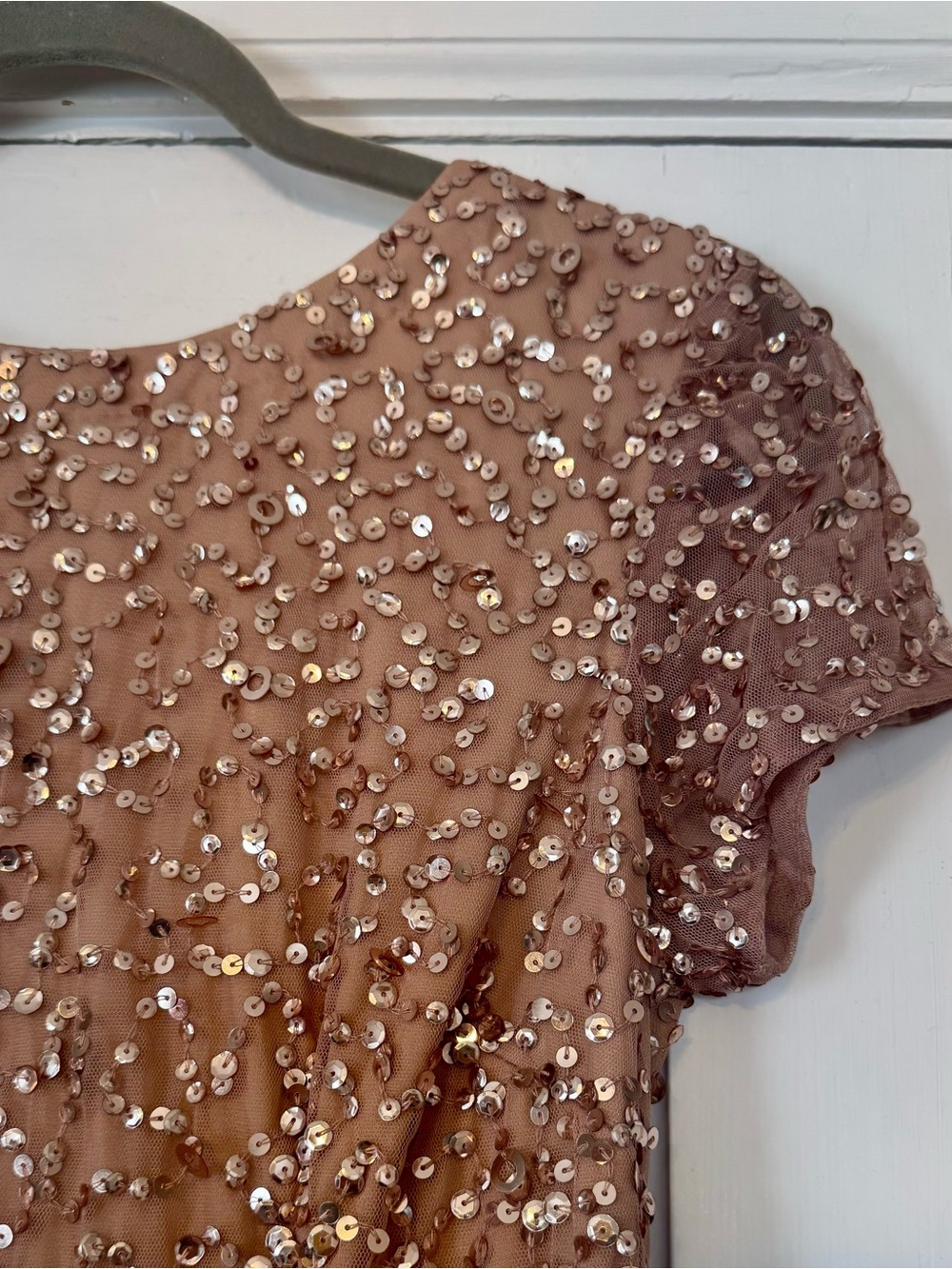 Adrianna Papell Sequin-Embellished Short Sleeve Dress in Rose - Picture 2 of 6